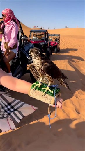 Roberta trader official on TikTok