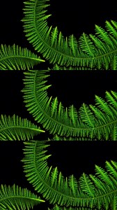 New year, new intro for The Nature of Things. Just gonna be here looping this all day 🔥 New season of The Nature of Things premieres Jan. 4 on CBC Gem 📺 | CBC Docs