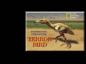Prehistoric Predators: TERROR BIRD