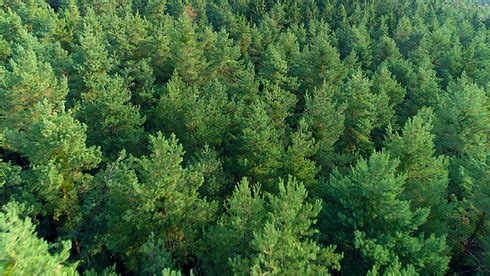 お問い合わせ | My Site 2