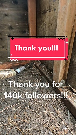 Thanks again for all the followers! #pnw #hunting #duckhunting #ducks #geese #hunt #hunter #waterfowl #waterfowler #waterfowlhunter #waterfowlhunting #northwest #almosttime #happy #cheers