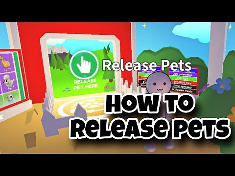 How to Release Pets in Adopt Me Roblox | pet releaser location