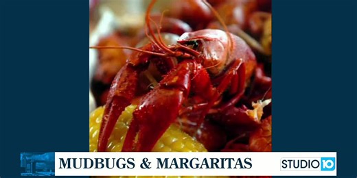 2nd Annual Mudbugs and Margaritas Festival