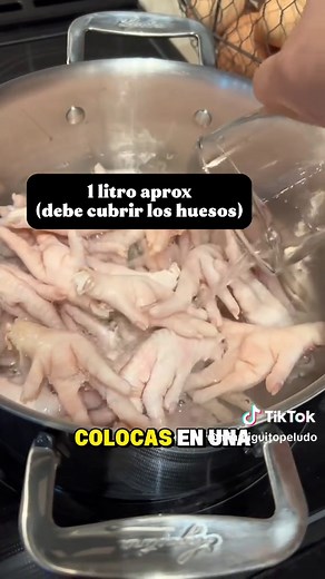 Caldo de Huesos Económico para Perros y Gatos