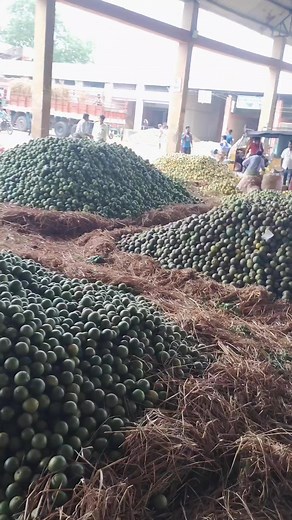 106K views · 1.3K reactions | Mosambi market  #banana #pomegranate #mango #fruits #grapes #farming #vegan #apple #orange #watermelon | Anil Sathvara | Facebook