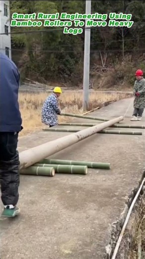 Smart Rural Engineering Using Bamboo Rollers To Move Heavy Logs