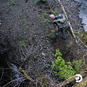 220K views · 1.2K reactions | One Bigfoot is wild enough… but what if there are two?  Watch a new episode of #ExpeditionBigfoot Wednesdays at 10p on Discovery! | Discovery | Facebook