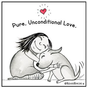 The best of Red and Howling 2018. (beautiful music by my hubby). | Red and Howling