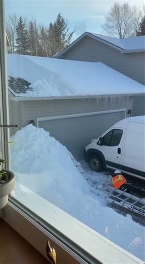 Worker Falls From Icy Ladder, Van Damaged in Snowy Mishap ❄️🏠