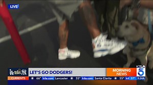 9.5K views · 243 reactions | L.A.'s Very Own Dodgers fans & Randy's Donuts are ready for Game 1. KTLA's Carlos Herrera reports. | KTLA 5 News | Facebook