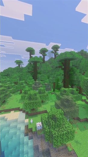 How To Play Minecraft on 1️⃣ Layer