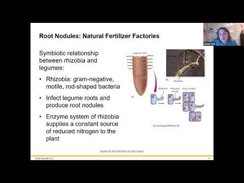 Sp26 MCRO 2124 Chapter 25 Recording