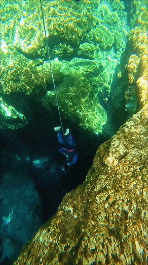 Essential Freediving Safety Tips: 13 Guidelines for a Safe Dive