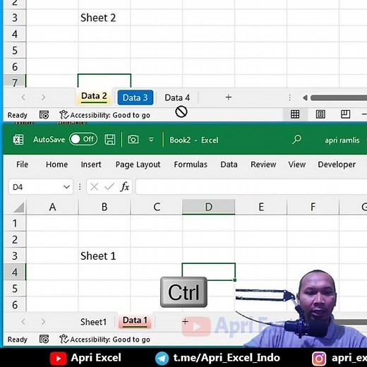 Copy sheet excel ke file lain sama persis