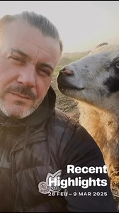 4.6K views · 187 reactions | You don’t need to be a woman to enjoy hugs from the sheep. We are open again in a few weeks to raise much needed funds. Create memories to last a lifetime. I have only put on two days a week but I will happily open specific days if requested. Bring your children, your husbands, your grandparents. All are welcome www.sheepsanctuary.co.uk. x #sheep #sheep hugging #whitby #plantbased #shepherd huts | Sheep Sanctuary | Facebook