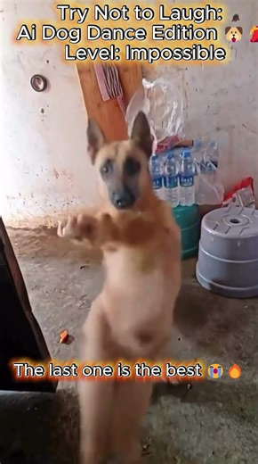 AI Dancing Dogs 🐶💃 (Try Not to Laugh) #funny #dontlaught #comedydance #memes #trynottolaugh