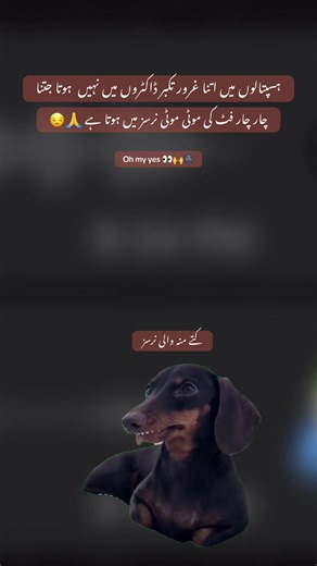 Yahi bat ha na ?? 👀 #funny #memes #foru #girlsboys #freepalestine