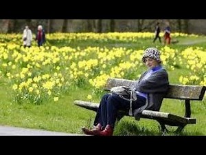 Sitting on a park bench (original song)
