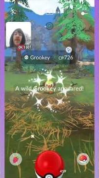Back to Back Snapsot Shiny Grookey on Community Day in Pokémon GO! #shinypokemon #pokemongo