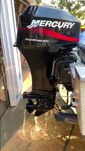 Mercury 40 HP 4-Stroke EFI.