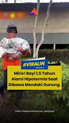 Bayi itu pun langsung mendapatkan penanganan darurat dari tim SAR yang bertugas. Cuaca yang buruk disertai hujan deras membuat suhu tubuh bayi tersebut menurun drastis hingga mengalami gejala hipotermia. Petugas pun berupaya keras untuk menstabilkan kondisi bayi malang itu dengan menghangatkan tubuhnya dan memberikan pertolongan pertama. Setelah kondisi bayi sudah membaik, tim SAR gabungan langsung mengevakuasi bayi itu beserta orang tuanya menuju basecamp. 🎥: Instagram/kantorsar_semarang. #vir