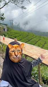 Anak kucing meong meong #lucu #comedy #funny