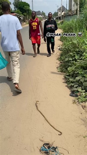 Snake prank😂😂😂video 😂😂😂#funnny #viral_video #prank #snakeprank