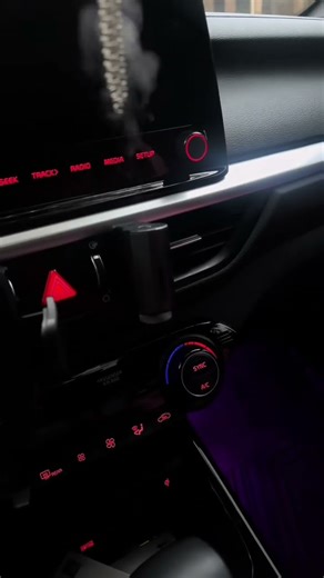 Add Your Own Oil to the #car #newcar #diffuser