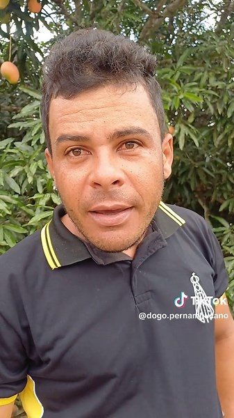 Dogo Pernambucano: A Saga da Manga e a Amizade