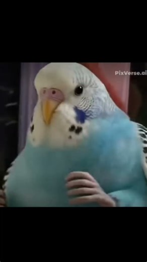 #butifyoucloseyoureyes #funny #challenge