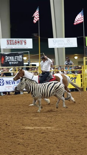 The One Armed Bandit and Zorro the Zebra. Name a more iconic duo. 🤠 #LongLiveCowboys #WranglerWestern | Wrangler Western