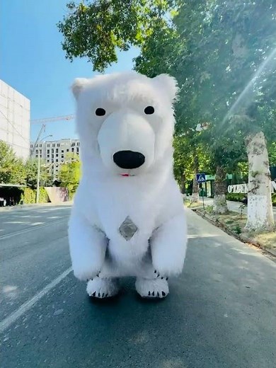 Ayiqlar ochilishda oformileniya xizmati Teddi shou multfilm qahramonlari 900368485 obuna boʻling