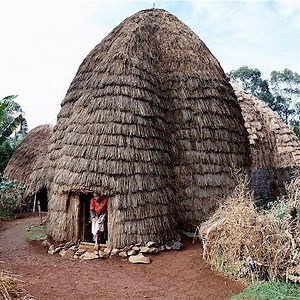 2.4M views · 11K reactions |  I am almost speechless. this is incredible architecture and the cooperative community  | African Tribe Life Moments | Facebook
