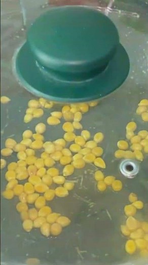 Act 2 Popcorn in a Pan | Homemade Act II Popcorn without Cooker | Popcorn in 3 min #shorts