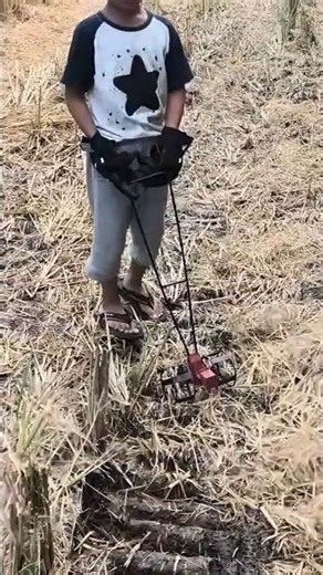 main traktor di sawah #shorts #traktortangan #familyvlog #masyaallahtabarakallah