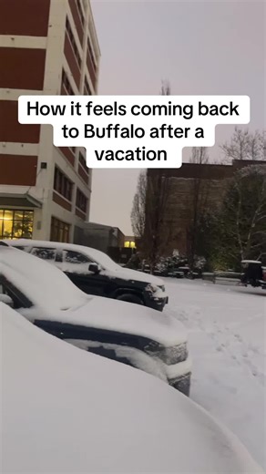 Returning to Buffalo: From Florida Warmth to Winter Chill