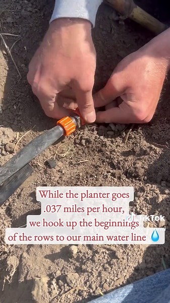 Strawberry planting = drop a plant, cover it, pick berries... easy, right? 🍓😆 Not quite! It takes thousands of plants, drip-tape, muddy boots & teamwork to grow next year’s harvest. 72,000 chances for you to taste the magic in 2026 🪄 But don’t worry—we’re still prepping the fields for this season’s berries too! 🍓🙌 🎥 Watch how it all starts—and get ready to pick in the fields here soon! #thompsonfarm #strawberry #planting #farm #summertime