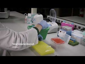 BD Rhapsody™ Single Cell Analysis System: Flow Co Staining