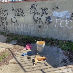 13K views · 834 reactions | Our Gang Intervention Unit (GIU) and Western Division teamed up to help clean up trash and remove graffiti in the Linda Vista neighborhood. GIU hosts events to help inspire change in our communities. While COVID has slowed the number of events they have, it hasn't stopped them. They get creative and host COVID safe events to help inspire the youth to a better future! What have you recently done to help your community? | San Diego Police Department | Facebook