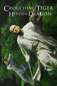 Stream Crouching Tiger, Hidden Dragon (2000): Find it on Netflix, Prime Video, Hulu & more