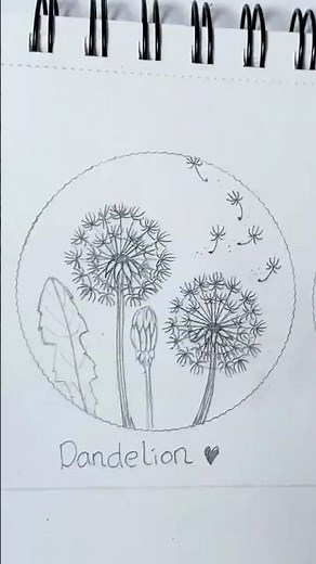 Draw Dandelions Flower #drawing #drawingtutorial #dandelions #flower
