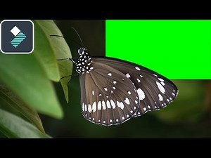 How To Use CHROMA KEY In Filmora 9 Tutorial