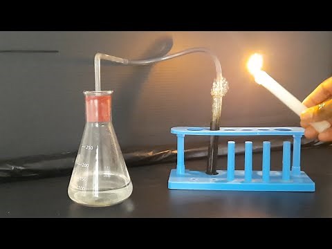 10th Science, Activity 2.3