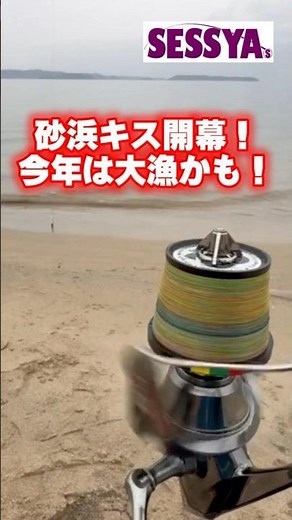 [Surf Fishing] Sand Whiting Season Begins! Could This Be a Record Catch Year!?