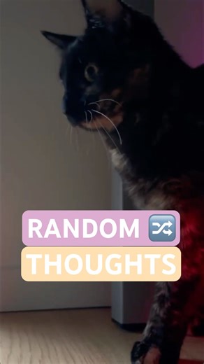 What are you thinking right now?