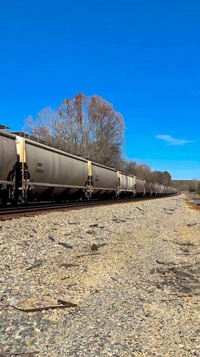 21K views · 664 reactions | If there’s one week a year where grain...