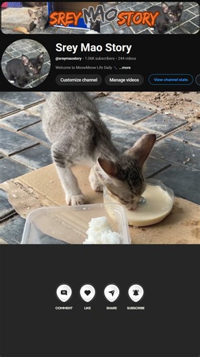 Every Time After Pooping, My Kitten Runs to Food 🐾🥺