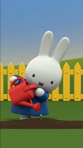 Miffy's Flower | Miffy | Cartoons for kids