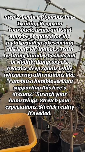 6.8K views · 71 reactions | All 1000 (plus ) Fig trees are safely...