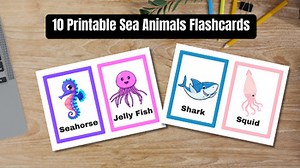 Sea Animals Flash Cards Special Education Cards